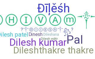 Přezdívka - Dilesh