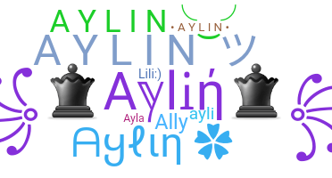 Přezdívka - aylin