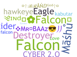 Přezdívka - Falcons