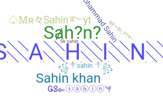 Přezdívka - Sahin