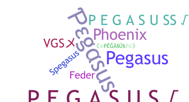 Přezdívka - pegasus