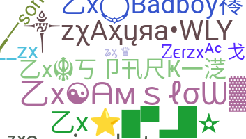 Přezdívka - ZX