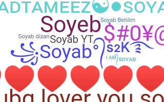 Přezdívka - Soyab